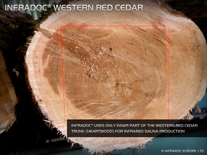INFRADOC Western Red Cedar
