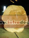 Infradoc. ������ ������� ����